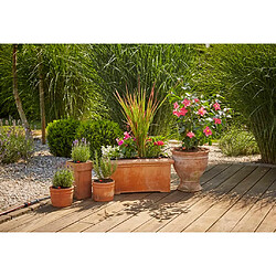 GARDENA Système micro-gouttes de pots de fleurs M Starter Set 13001-20