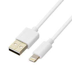 Câble 1m USB Compatible iPhone iPad iPod 2.1A Inkax Charge 