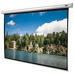 Ecran de projection celexon Economy Motorisé 240 x 180 cm