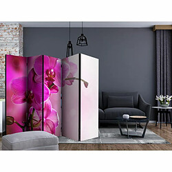 Paris Prix Paravent 5 Volets Pink Orchid II 172x225cm