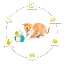 jouets interactifs pour chats