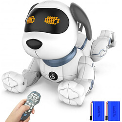 OFS SELECTION Robot Okk, le chien robot interactif 