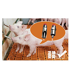 5pcs / Set En Acier Fil De Porc Cochon Automatique Bébé Mamelon Chien De Chèvre Waterer Nouveau pas cher