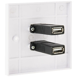 Avis Wewoo Le double panneau de plaque de mur de de chargeur de de maison de prises d'USB 2.0 femelle