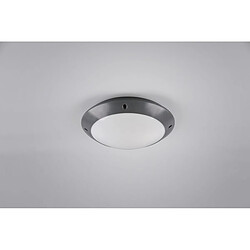 Lumière Plafonnier Moderne Camaro Anthracite IP54