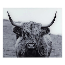 WENKO Fond de hotte en verre trempé Highland Cattle - Longueur 60 cm x Largeur 50 cm