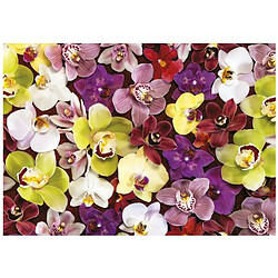 Educa Borras Puzzle 1000 pcs - Collage Orchidees