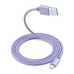 Little Boutik Câble Metal Nylon Renforcé Chargeur USB Couleur Argent pour IPhone 1,5m Tréssé Compatible IPhone 5s 6 6S 7 8 X Couleur 