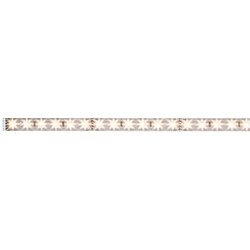 Paulmann Extension ruban MaxLED 500 1m blanc lumière du jour 6W 24V argent 4000K 