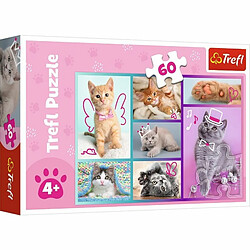 Trefl- Chatons Mignons 60 éléments-Puzzles Colorés avec Les Animaux, Chats, Collage, Divertissement Créatif, Jeu pour Enfants Plus de 4 Ans, 17373, Taille Unique 