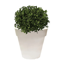 Avis WellHome JARDINIÈRE EN POLYÉTHYLÈNE POUR ROTOMOULAGE BLANC 35X30 CM