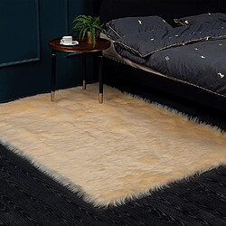 LUUCOZK Tapis moelleux en fausse fourrure Tapis à poils longs pour chambre à coucher SalonChambre-Beige-90x150CM