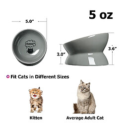 YYHY Y YHY Gamelle surélevée pour chat 13 × 9 cm/150 ml – Gris