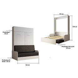 Avis Inside 75 Armoire lit escamotable DYNAMO SOFA accoudoirs structure chêne canapé gris couchage 140*200