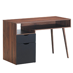 Helloshop26 Bureau informatique 120 x 55 x 78 cm avec placard à porte et tiroir table d'ordinateur de style moderne marron rustique 20_0005676