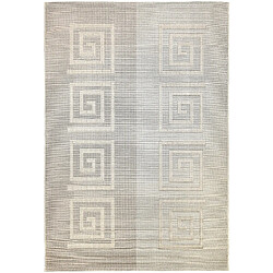 Hadorn Tapis d'intérieur/d'extérieur 290x200 gris Limited Edition