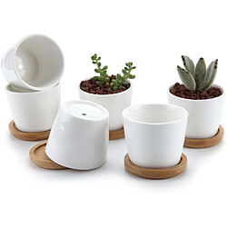 BESTA Lot de 6 pots succulents en céramique blanche avec plateau en bambou de 6,5 cm 