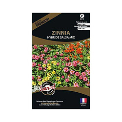 Sanrival Graines de fleurs premium zinnia hybride salsa mix