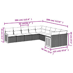 Avis vidaXL Salon de jardin 10 pcs avec coussins noir résine tressée