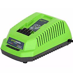 Greenworks Chargeur de batterie universel G40UC 40 V 2,2 A 2910907