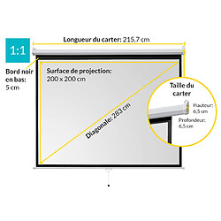Écran de projection ivolum manuel 200 x 200 cm
