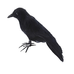 Avis Oiseau artificiel Crow de plumes