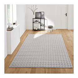 Acheter Zandiara Tapis 200x280 cm FJORD Gris