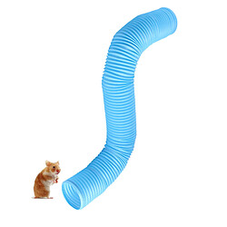 Tube tunnel pour animaux de compagnie pour chats cochons d'Inde