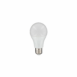 Avis Nityam 5 Ampoules LED Globe E27 - 6W