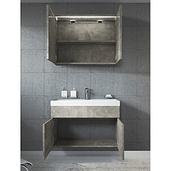 Avis Auco Meuble de salle de bain Paso 02 80x40cm lavabo Beton (gris) – Armoire de rangement mirroir armoire miroir