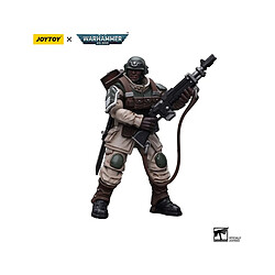 Joy Toy Warhammer 40k - Figurine 1/18 Astra Militarum Cadian Command Squad Veteran with Regimental Standard 12 cm