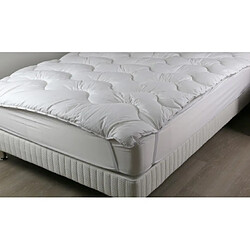 Dodo Sur matelas Premium XL 140x190 élastiques de coins