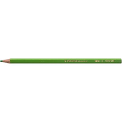 Newtons Stabilo Aquacolor Lot de 12 Crayons Aquarellable Vert Printemps 