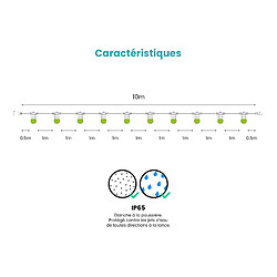 SkyLantern Guirlande Lumineuse Extérieur Vert 10 m Cable Blanc