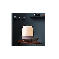 Lampe haut-parleur - portable et sans fil - connexion bluetooth et son haute fidélité, couleur taupe - Lite-up Play Earth - KOODUU