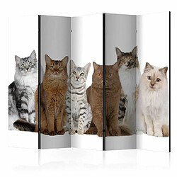 Paris Prix Paravent 5 Volets Sweet Cats 172x225cm