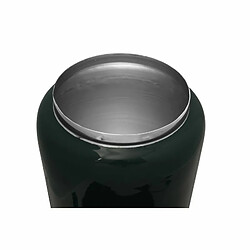 Paris Prix Vase en Fer Design Ulte 20cm Vert & Argent