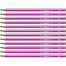 Newtons STABILO Trio - Lot de 12 crayons graphite triangulaires 2B - Rose 