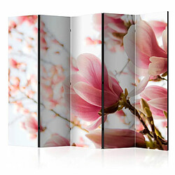 Paris Prix Paravent 5 Volets Pink Magnolia 172x225cm