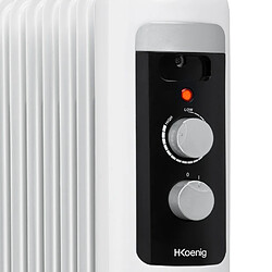 Avis H.Koenig WARM110 - radiateur bain d'huile