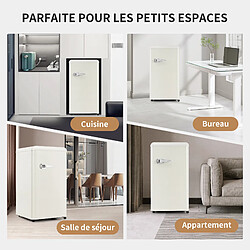 Acheter RAVAS Réfrigérateur 1 porte 76L éclairage LED, pieds réglables,classe d’efficacité énergétique E