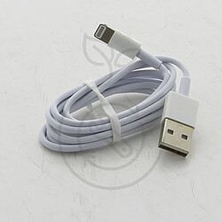 DLH Energy Cable USB vers APPLE Lightning , blanc, longueur 1M DY-TU1704W pour Smartphone APPLE