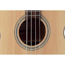 GB30CE-NAT Takamine