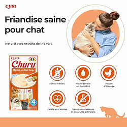 Friandise pour chat