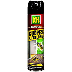 Aérosol spécial guêpes frelons - Home défense - 400 mL - KB 