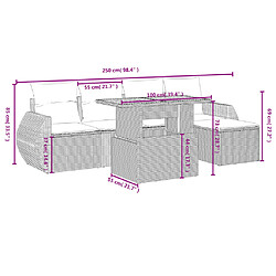 Avis vidaXL Salon de jardin avec coussins 6 pcs beige résine tressée