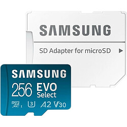 SAMSUNG Carte memoire Micro SDXC EVO 256 Go + Adaptateur