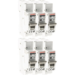 Lot de 6 Disjoncteurs à connexions automatiques PH+N Thomson - 16A NF