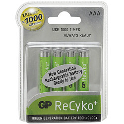 Pile rechargeable Gp batteries