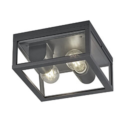 Plafonnier Vintage 2 Lumières Anthracite IP44